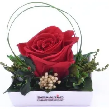 umělá květina Dekorace stabilizovaná růže Barva: Red