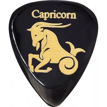 Strunný nástroj Timber Tones Zodiac Tones Capricorn + prodloužená záruka 3 roky