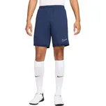 Šortky Nike Dri-Fit Academy 25 M FZ9776 410