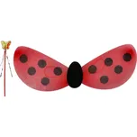 Křídla beruška s hůlkou nylon 30,5x46x1cm