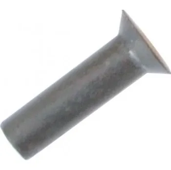 Příslušenství k zahradní technice Nýt kosy zapuštěný 5 x 18 mm