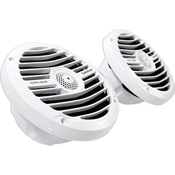 Rockford Fosgate RM1652