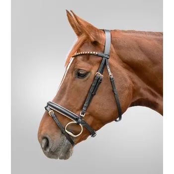 Sport Kožená uzdečka Star Rosegold s anglickým nánosníkem COB