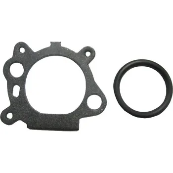 Sada těsnění karburátoru pro BS
