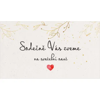 Pozvánka Pozvánka na raut 330