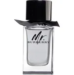 Burberry Mr. Burberry - EDT 100 ml + 2 měsíce na vrácení zboží