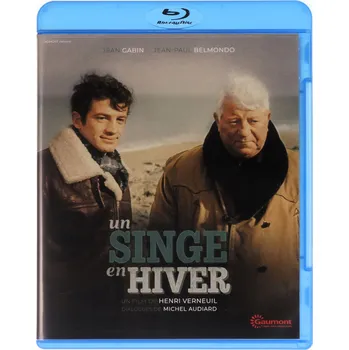 Blu-ray film Małpa w zimie – Blu-ray disk