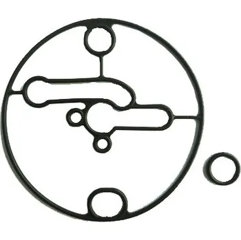 Těsnění karburátoru pro BS 698781C