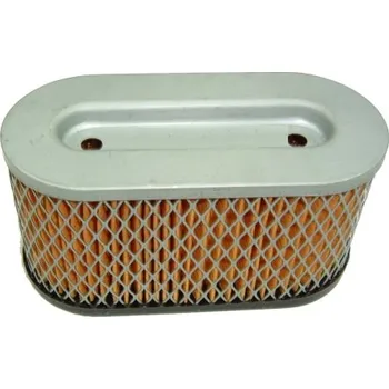 Filtr vzduchový pro BS 10 HP VANGUARD