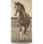 Dětská osuška Veba ZARA Kůň s lysinkou béžovohnědá Velikost: 75x150 cm 209227676