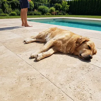 Dlažba Kameny.cz Rio Crem - exteriérová dlažba travertin
