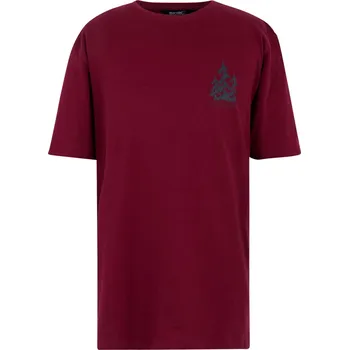 Pánské tričko Pánské tričko Regatta Cline IX Velikost: XL / Barva: tmavě červená