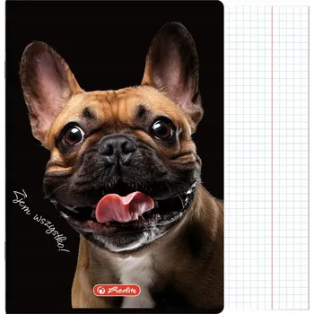 Sešit Sešit A4 čtvereček s okrajem 60k kočka pes Crazy Animal mix 1ks Herlitz