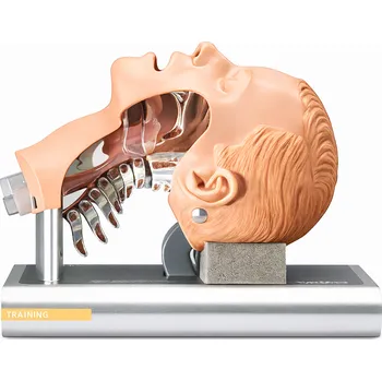 AMBU Ambu® Intubační trenažér