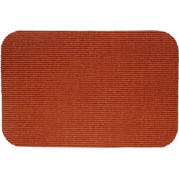 Rohožka Rohožka Sisal 40x60 cm, bronzová