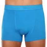 Pánské boxerky Gino modré (73126)