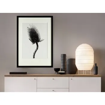 Obraz Rámovaný obraz Botanical IV 35x50 cm, černobílý