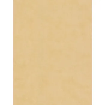 Tapeta A.S. Création | Vliesová tapeta na zeď Nordic Feeling 79154-2 | 0,53 x 10,05 m | žlutá, okrová + Žlutá, okrová vliesová tapeta na stěnu 791542 v rozměru 0,53 x 10,05 m