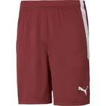 Puma teamLIGA M 704924 09 šortky