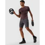 Pánské sportovní rychleschnoucí šortky 4F