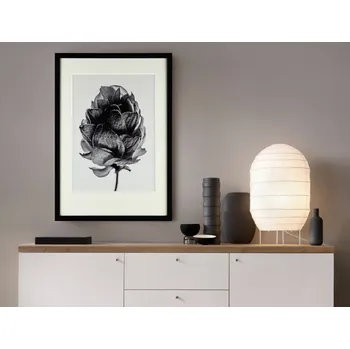 Obraz Rámovaný obraz Botanical II 35x50 cm, černobílý