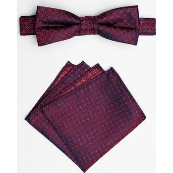 Motýlek Pánský motýlek BANDI, model EDUCTO medium 02