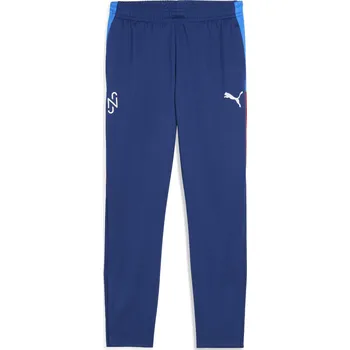 Pánské kalhoty Pánské kalhoty PUMA NEYMAR JR PLAYMAKER TRG PANT 660312-10 BLAZING BLUE/PUMAWHITE/ULTRA XL