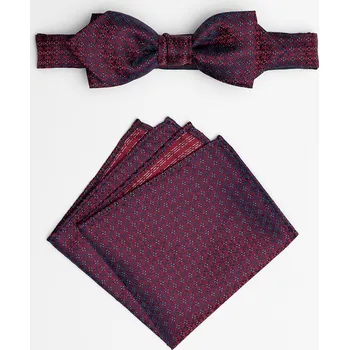 Motýlek Pánský motýlek BANDI, model EDUCTO slim 02