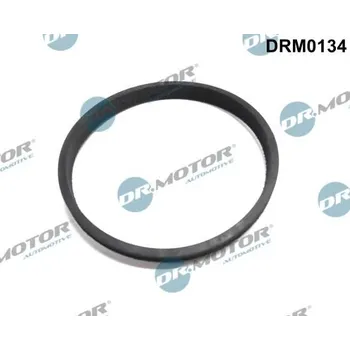 Palivový systém Těsnění, hrdlo škrtící klapky Dr.Motor Automotive DRM0134