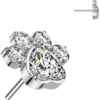 Piercing Šperky4U Ozdobná část k PUSH IN piercingu TITAN - TIT1658