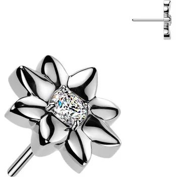 Piercing Šperky4U Ozdobná část k PUSH IN piercingu TITAN - TIT1669