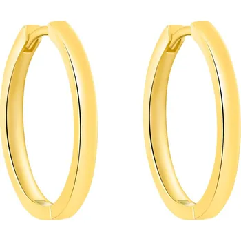 Náušnice Pozlacené kruhové náušnice AGT-E251K-GOLD Agato