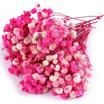 umělá květina Sušený / stabilizovaný nevěstin závoj pro suché i mokré aranžování, střední, 3 růžová sv. krabička