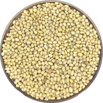 Sušená potravina Zdravoslav Piniové oříšky - jádra 500 g