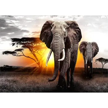 Diamantové malování Diamantové malování - Sloni v savaně-č644 50x70 cm