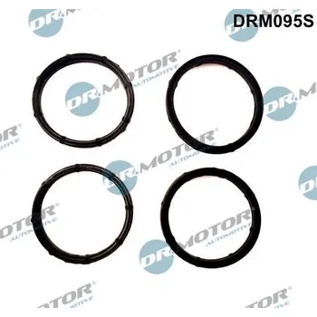 Těsnění motoru Sada těsnění, koleno sacího potrubí Dr.Motor Automotive DRM095S