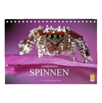 Příroda Wunderschöne Spinnen (Tischkalender 2026 DIN A5 quer), CALVENDO Monatskalender - Manuel Iglesias Nuñez, Luis
