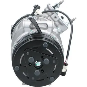 Kompresor klimatizace Kompresor, klimatizace BV PSH 090.815.004.876