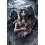 GRAFIKA Puzzle Duch noci 1000 dílků