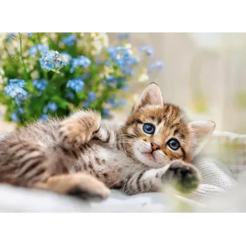 Puzzle Puzzle RAVENSBURGER Mazlivé koťátko 500 dílků