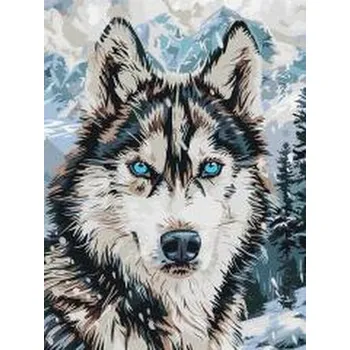 Set školních potřeb Malowanie po numerach -Oczy północy 3040cm