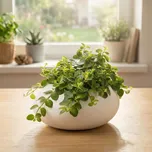 TESCOMA Fancy Home Stones Round 9,5 cm bílý - keramický květináč (obal na květináč)