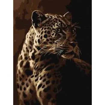 Set školních potřeb Malowanie po numerach -Spojrzenie lamparta 30x40cm