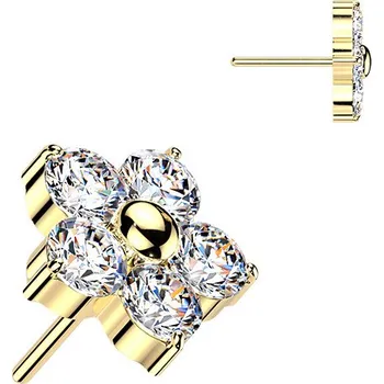 Piercing Šperky4U Zlacená ozdobná část k PUSH IN piercingu TITAN - TIT1652-GDC