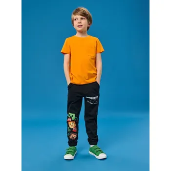 Sinsay - Kalhoty Minecraft - šedá - 232CT-86X - 232CT-86X-164