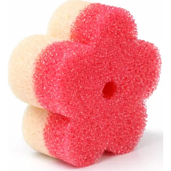 Univerzální čisticí prostředek Úklid pro klid Multifunkční houbička - kytička Varianta: Bez přísavky