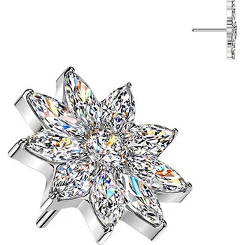 Piercing Šperky4U Ozdobná část k PUSH IN piercingu TITAN - TIT1653