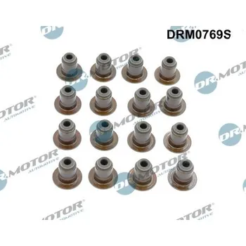 Těsnění motoru Sada těsnění, dřík ventilu Dr.Motor Automotive DRM0769S
