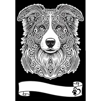 omalovánky Velurová omalovánka A4 Border kolie