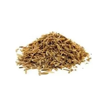 Koření Římský kmín celý, 100 g
